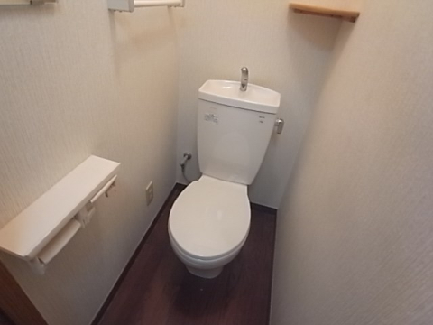 アーバンジャングルプレース174sのトイレ写真