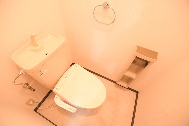 ハイツ大星のトイレ写真