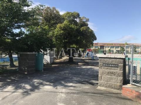 小学校　知立市立知立小学校（小学校）まで775m