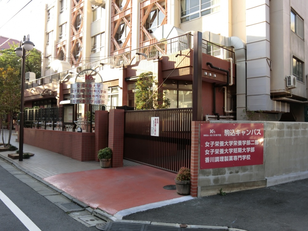 その他　女子栄養大学（その他）まで493m