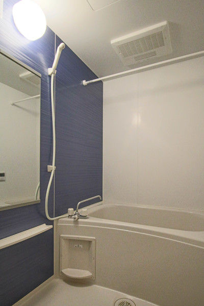 バス・シャワールーム　同じ建物の別なお部屋