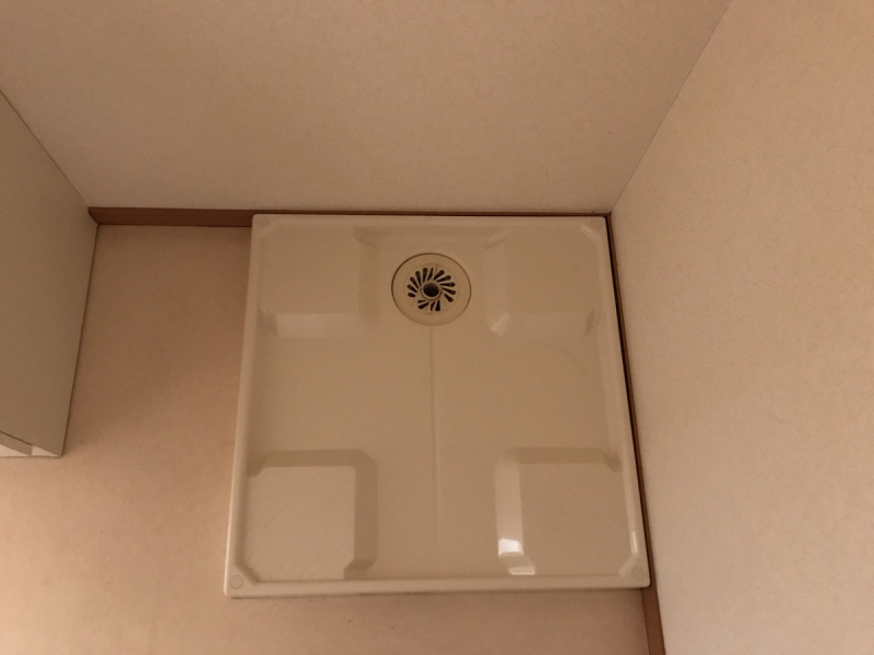 アイリスのその他写真