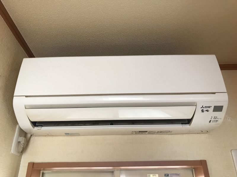 アイリスのその他写真