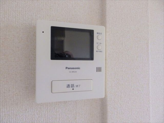 エヴァーグリーンのその他写真