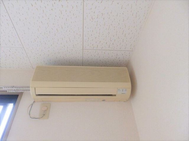 エヴァーグリーンのその他写真