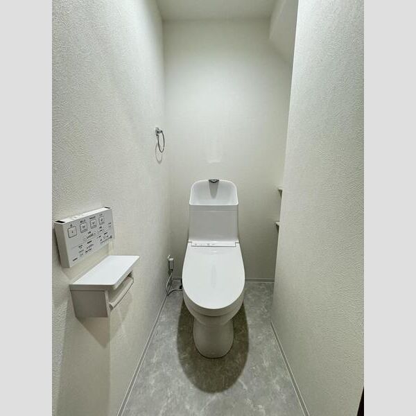 仙台市地下鉄南北線 長町一丁目駅 徒歩10分 2階建 築3年のトイレ写真