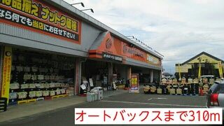 その他　オートバックス（その他）まで310m