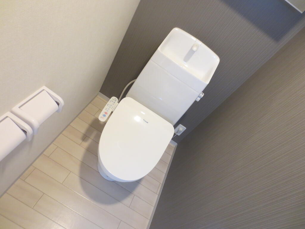 ＪＲ常磐線 勝田駅 徒歩34分 2階建 築1年のトイレ写真