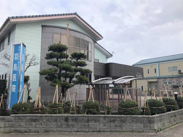 病院　羽鳥医院（病院）まで300m