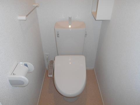 ＪＲ奈良線 新田駅 徒歩11分 3階建 築9年のトイレ写真