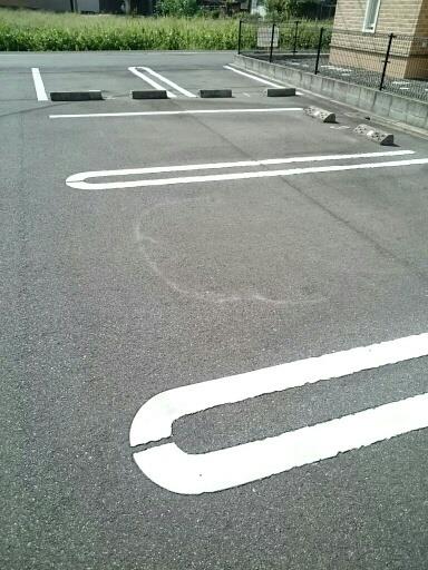 駐車場　駐車場です。
