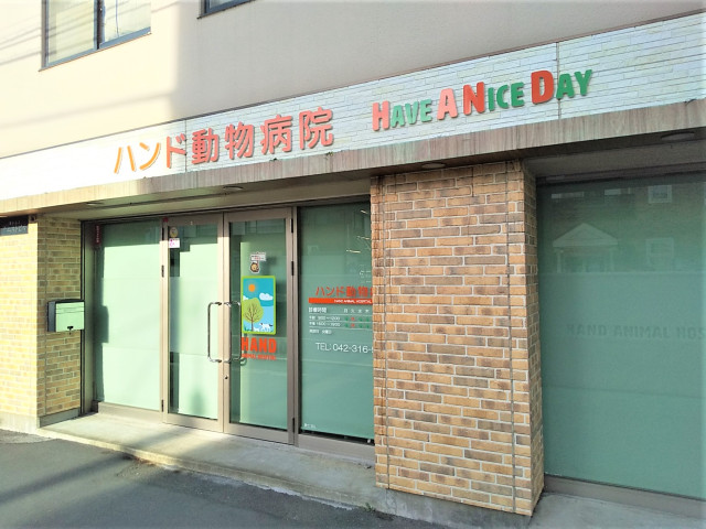 その他　ハンド動物病院（その他）まで700m