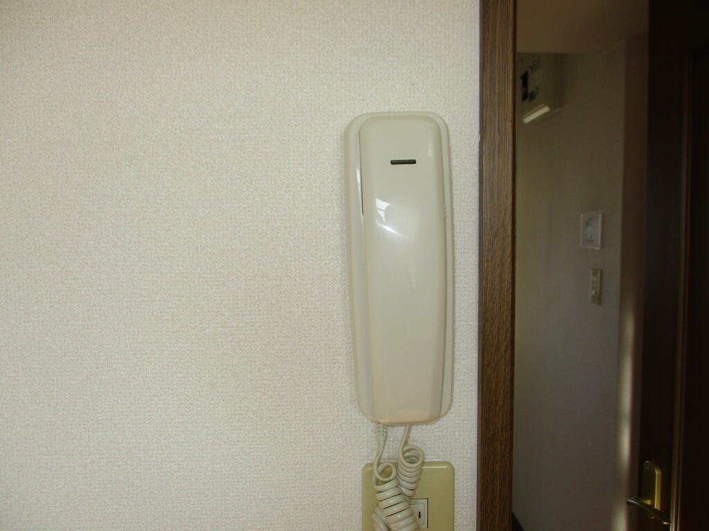 セキュリティ　インターホン付