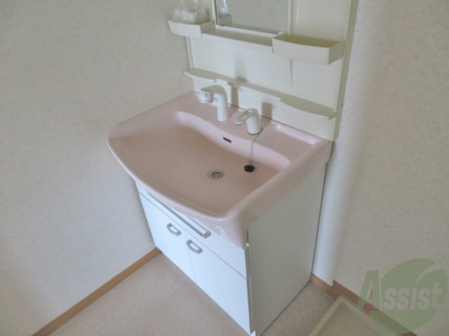 洗面設備　身支度には嬉しい独立洗面台です。シャワー付きです！