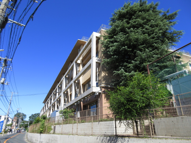 小学校　川崎市立向丘小学校（小学校）まで985m