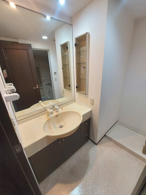 洗面設備　洗面脱衣室　洗面化粧台　小物収納もありスッキリ利用！洗濯機置