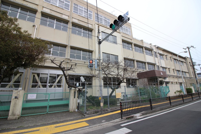 小学校　堺市立三国ヶ丘小学校（小学校）まで800m