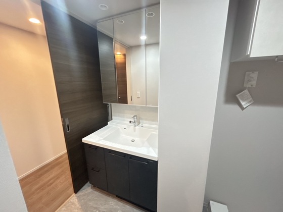 洗面設備　※別号室の写真です