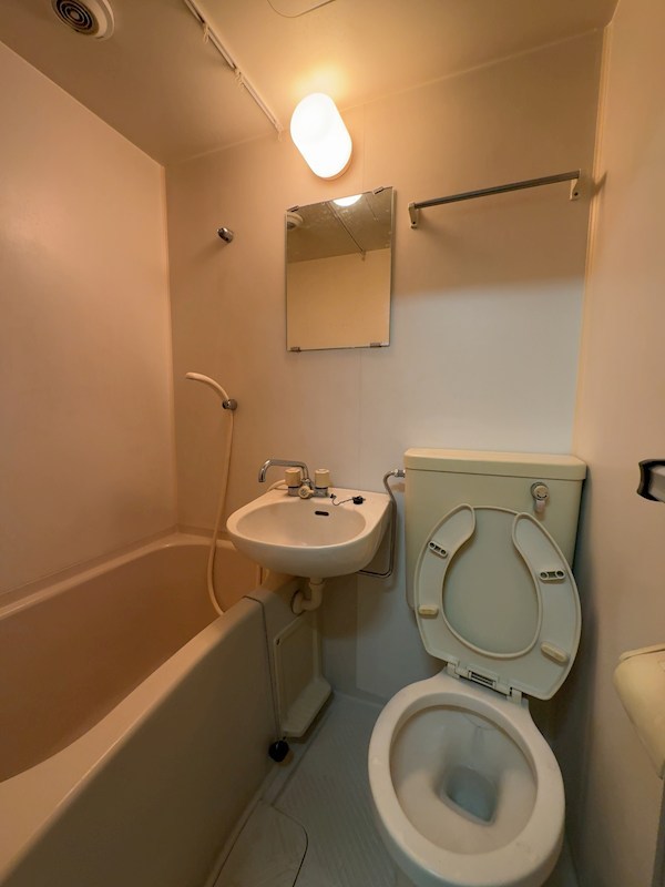 バス・シャワールーム　同タイプ別部屋の写真です