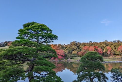 その他　万博記念公園 日本庭園（その他）まで859m