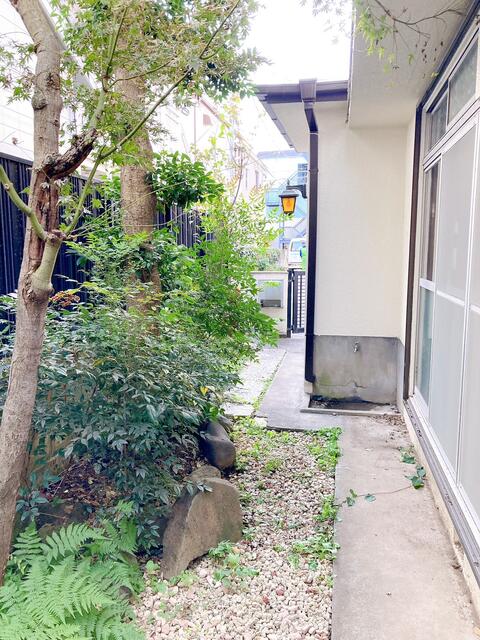 庭