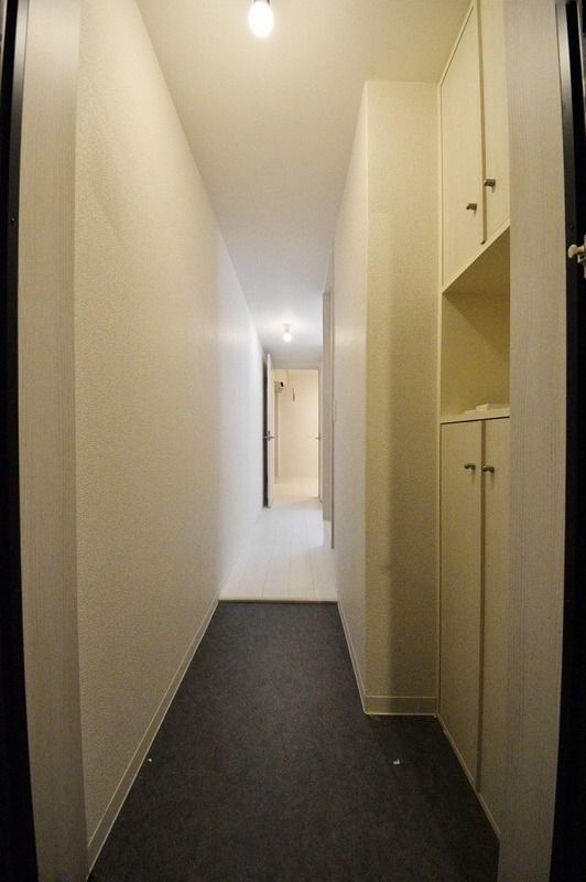 サンハイム下新庄の玄関写真