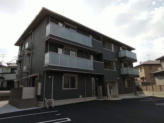 AURALEE 苅田