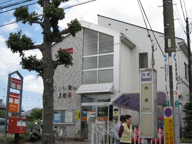 郵便局　松戸小金原郵便局（郵便局）まで350m