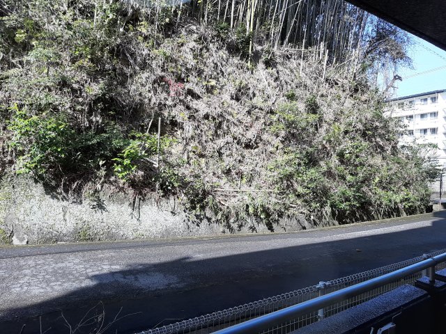 眺望　2021年2月撮影