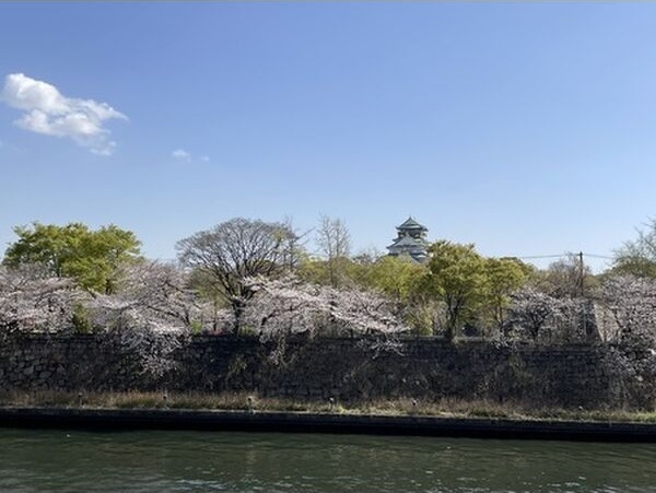 【大阪市都島区片町のマンションの眺望】