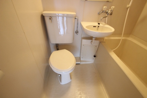 トイレ　※別号室の写真です