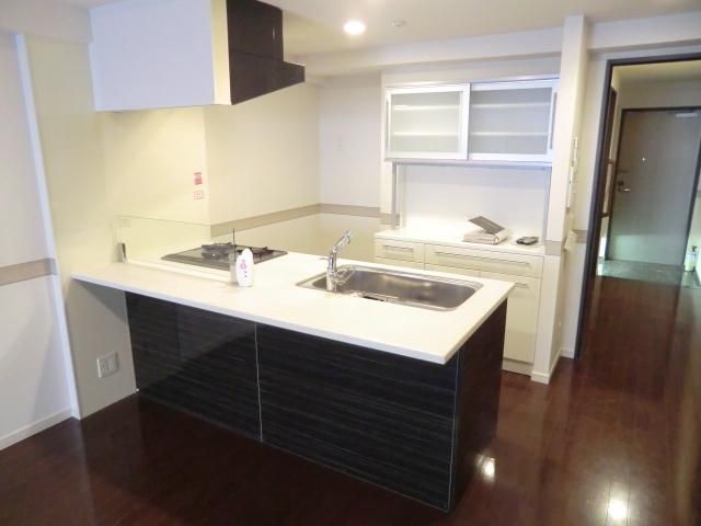 キッチン　ディスポーザー付カウンターシステムキッチン