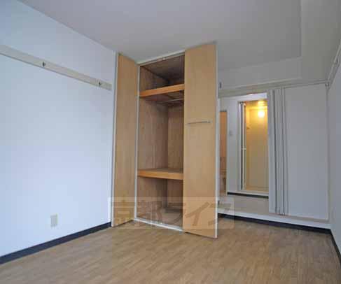 収納　収納デカ