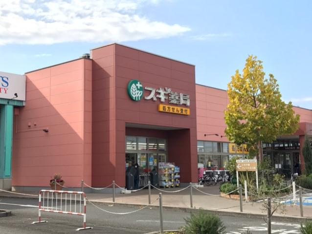 ドラックストア　スギ薬局川越南古谷店（ドラッグストア）まで1000m