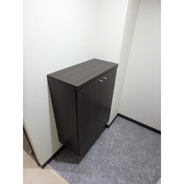玄関　※イメージ