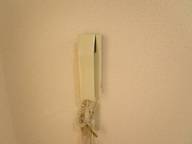 セキュリティ　写真は205号室です（参考）