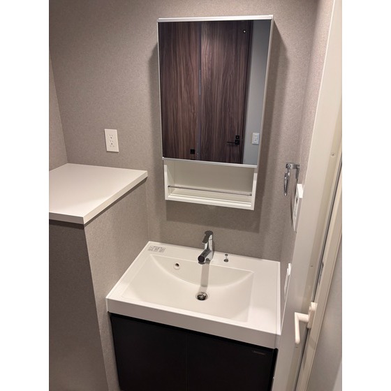 洗面設備　写真は別部屋・同タイプのもので、現状優先となります。