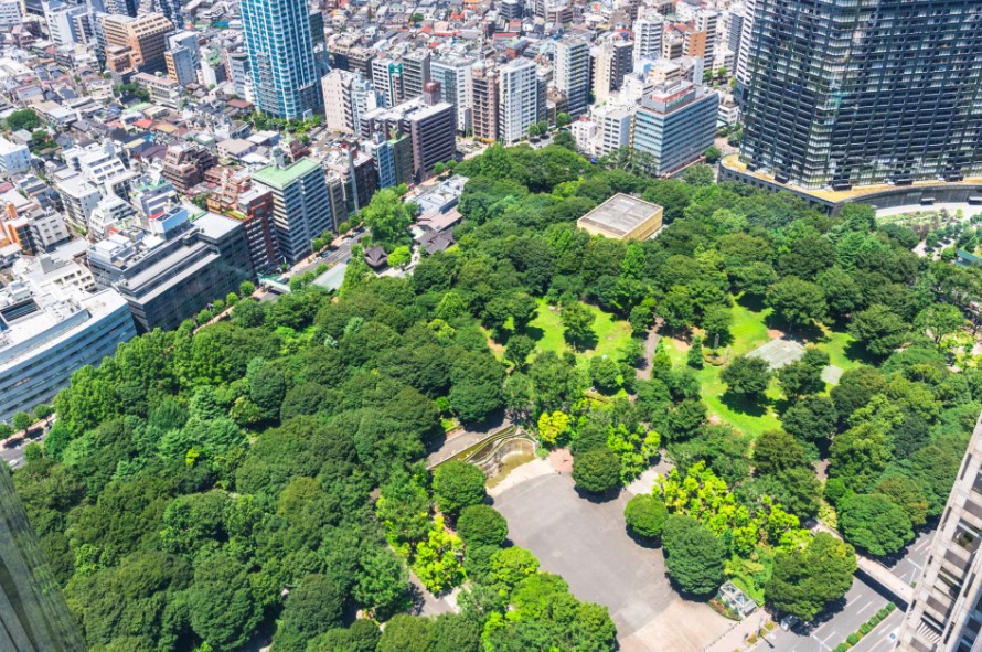 公園　新宿中央公園（公園）まで583m