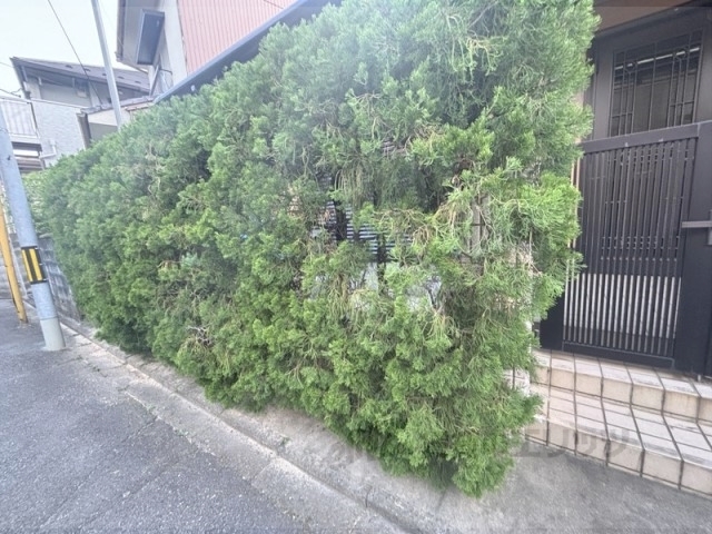 その他　その他