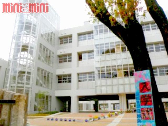小学校　尼崎市立難波の梅小学校（小学校）まで1044m