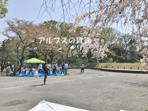 公園　掃部山公園（公園）まで500m