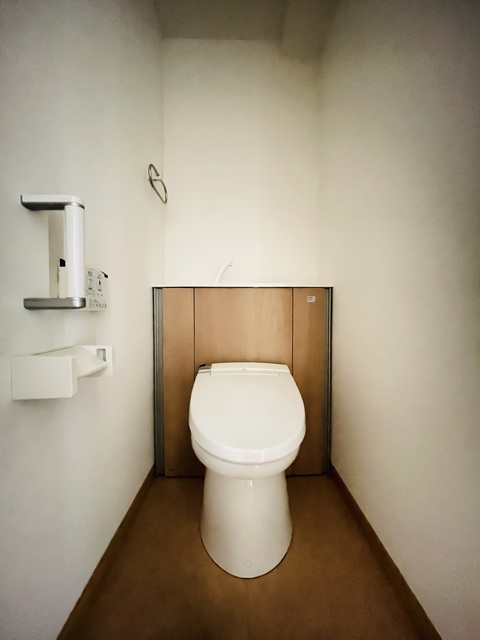 トイレ　清掃前の写真です