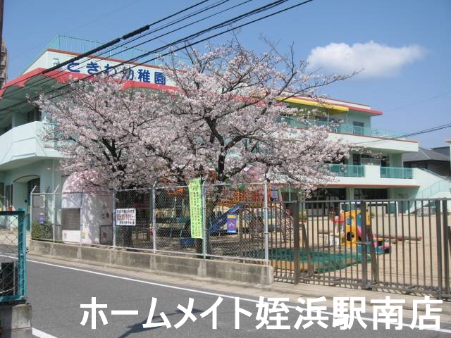 幼稚園・保育園　ときわ幼稚園（幼稚園・保育園）まで427m