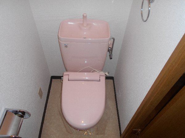 ドリームサポート・イワサキのトイレ写真
