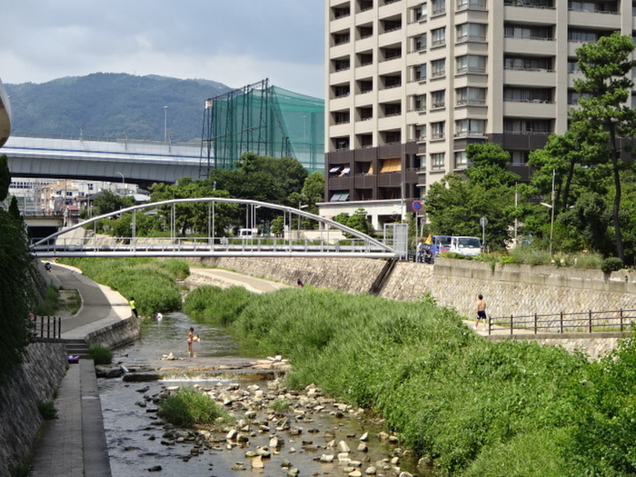 公園　住吉川（公園）まで1100m