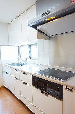 田園ステーションテラスのキッチン写真