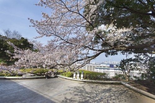 【ラフィスタ元町Iの公園】