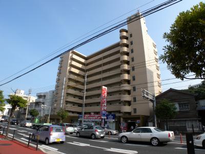 【歯大前スカイマンションの建物外観】