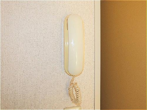 セキュリティ　インターホンあり