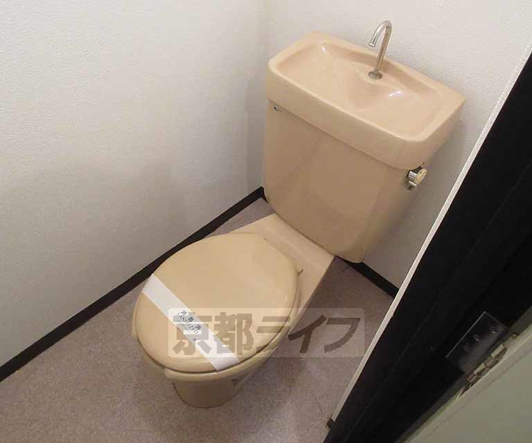 トイレ　トイレです！